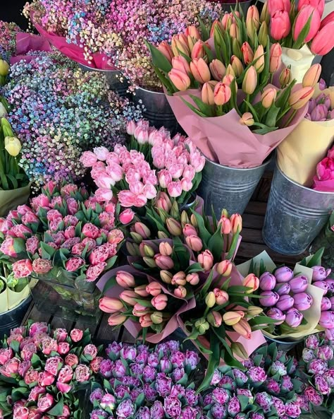 Flowers In Bloom, Instagram Flowers, Boquette Flowers, Nothing But Flowers, Flower Therapy, Beautiful Bouquet Of Flowers, Japanese Flowers, Pretty Flower, Spring Aesthetic