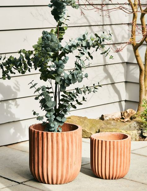 View All | Home Accessories | Rose & Grey Outdoor Terracotta Pots, Plant Pots Ceramic, Plant Pots Aesthetic, Plant Pot Aesthetic, Terracotta Balcony, Teracotta Pots, Pottery Plant Pots, Outdoor Plant Pots, Terra Cotta Pots Garden