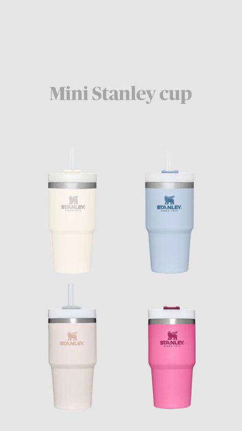 Mini Stanley, Stanley Products, Trendy Water Bottles, Preppy Gifts, Big Little Gifts, Back To School Shopping, Cute Cups, Stocking Stuffer Gifts, Stanley Cup