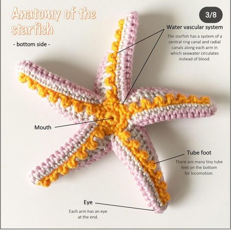 Starfish Crochet, Free Crochet Toy Patterns, Crochet Starfish, Crochet Dog Clothes, Deco Marine, Crochet Freeform, Crochet Fish, Crochet Stars, Felt Pattern