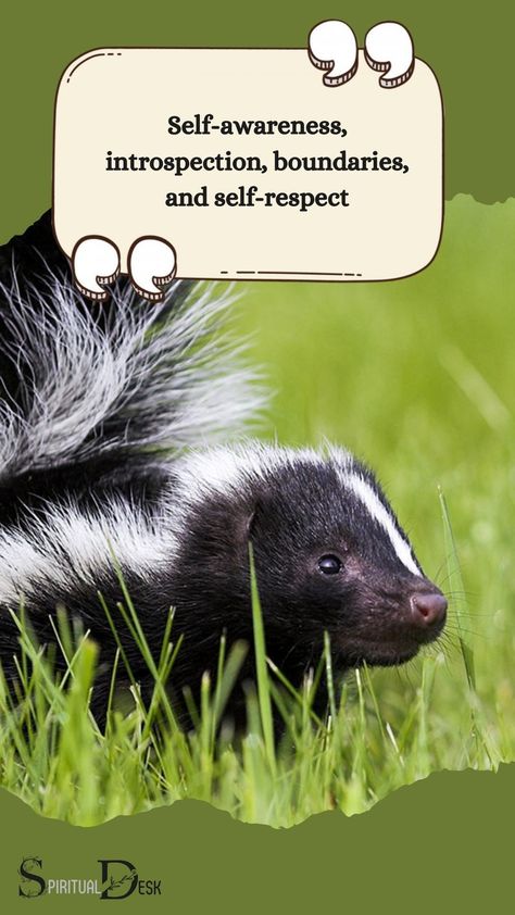 The spiritual meaning of seeing a skunk is often associated with self-awareness, introspection, boundaries, and self-respect. Skunks are known for their ability to protect themselves with their strong scent when threatened, symbolizing self-defense and independence.#animalsofig #instaanimal #plantsofinstagram #thedodo #dailycuteness Spiritual Animals, Totem Animals, Baby Skunks, Am I Dreaming, Spiritual Animal, Personal Boundaries, Embracing Change, Nocturnal Animals, Setting Boundaries