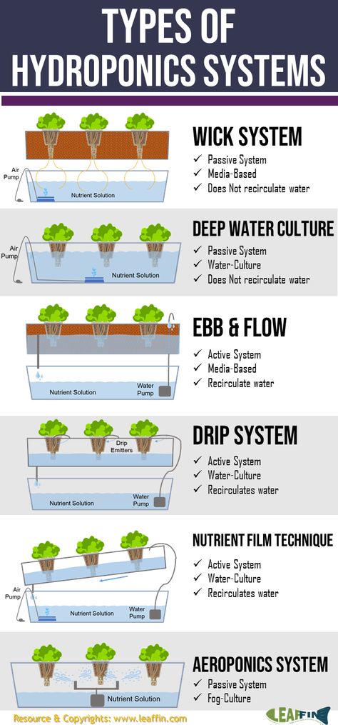 There are 6 basic types of hydroponic systems; Wick, Water Culture, Ebb and Flow (Flood & Drain), Drip (recovery or non-recovery), N.F.T. (Nutrient Film Technique) and Aeroponic. There are hundreds of variations on these basic types of systems, but all hydroponic methods are a variation (or combination) of these six. Hydroponic Gardening Diy, Hydroponic Gardening System, How To Grow Plants, Aquaponics Greenhouse, Affordable Backyard Ideas, Hydroponic Systems, Aquaponics Diy, Film Technique, Hydroponic Farming