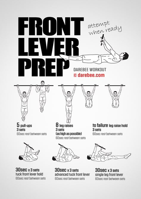 Front Lever Progression, Front Lever Calisthenics, Calisthenics Workout Routine, Neila Rey, Exercise Poster, Calisthenics Workout Plan, Climbing Workout, Calisthenics Training, Trening Sztuk Walki