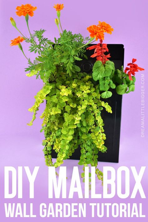 This DIY mailbox planter is adorable and easy to create! It's so adorable on a front porch! Mailbox Planter, Mailbox Flowers, Diy Projects For Adults, Diy Mailbox, Cheap Plants, Habitat For Humanity Restore, Diy Gardening, Work Diy, Wall Hanging Diy