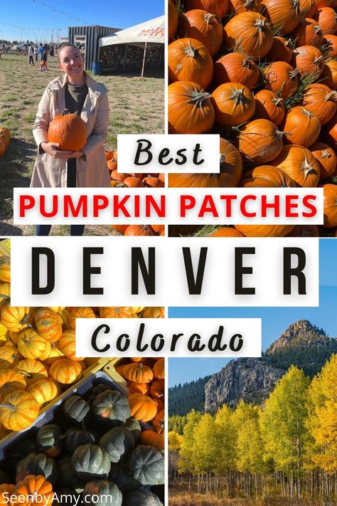 There's a huge variety of pumpkin patches near Denver, from simple farms to elaborate fall festivals. Read on for some of the best pumpkin patches near Denver. Pumpkin Patches Near Denver | Denver Pumpkin Patch | Denver Fall Activities | Denver Fall Bucket List | Things To Do In Denver During Fall | Denver Halloween | Halloween In Denver | Pumpkin Patches In Colorado What To Pack For Denver Colorado Fall, Denver In The Fall, Fall In Denver Colorado, Denver Colorado Halloween, Vermont Pumpkin Patch, Denver Activities, Best Pumpkin Patches, Estes Park Colorado, Steamboat Springs