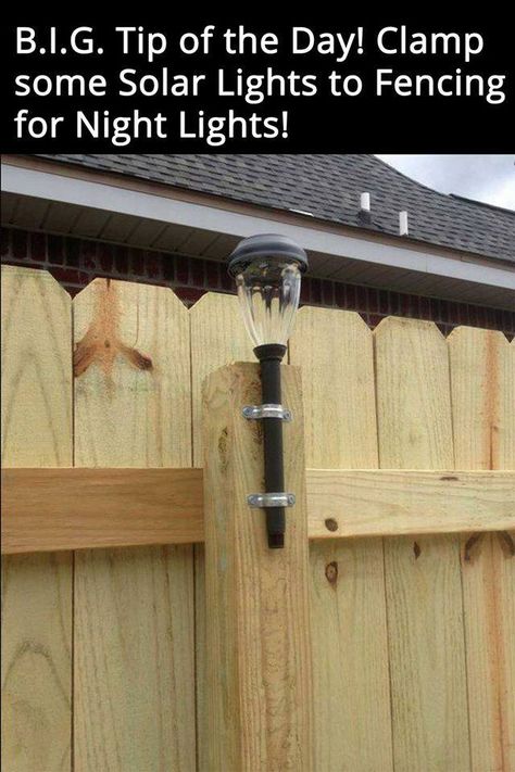 Backyard Solar Lights, Backyard Hacks, Solar Lighting, Pool Noodle, Casa Patio, Backyard Lighting, Yard Project, Garden Lights, Solar Garden