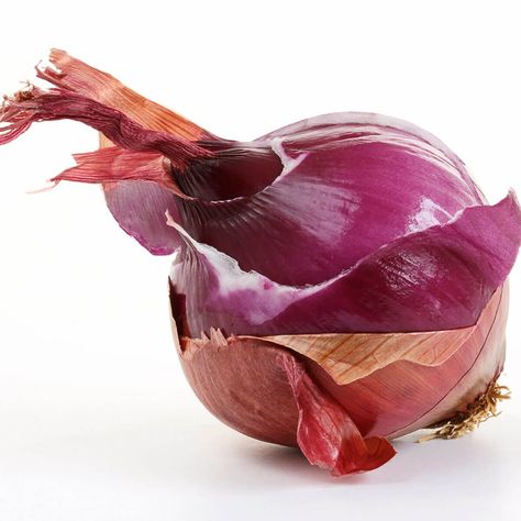 Onion Seeds, Uses For Coffee Grounds, Concept Photography, Fruit Peel, Object Drawing, Peeling Potatoes, Cabbage Roses, Peeling Skin, Family Handyman