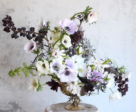 Try harmonizing the dark centers of anemones with matte black or plum-colored foliage and flowers such as heucheras, Sambucus nigra, and Fritillaria persica. Flowers Ranunculus, Beautiful Flowers Photography, Floral Arranging, Shade Flowers, Flowers Ideas, Growing Tips, Beautiful Flower Arrangements, Deco Floral, Wedding Flower Arrangements