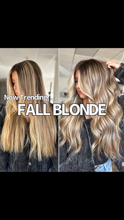 Adina Pignatare | BALAYAGE | HAIR VIDEOS | EDUCATOR | That honey blonde 🍯 Step by Step Balayage. Do you actually paint your balayage applications? Of course I started with #metaldetox - this... | Instagram Balayage Hair Videos, Never Let Go, Fall Blonde, Honey Blonde Hair, Things To Remember, Honey Blonde, Remember When, Open Air, Balayage Hair