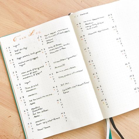 January 2017 Household Organization Ideas, Food Log Printable, Minimal Bujo, Bullet Journal Organization, Bujo Trackers, Staedtler Triplus Fineliner Pens, Journal Calligraphy, Log Journal, Budget Christmas Gifts