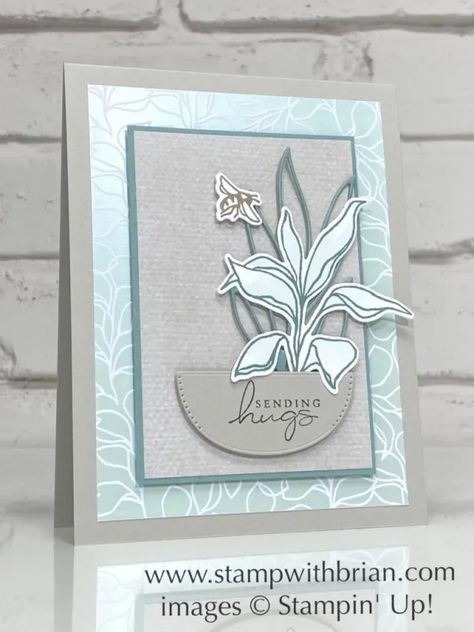 Stampinup Splendid Thoughts, Splendid Thoughts Stampin Up Cards, Stampin Up Sympathy, Stampin Up Sympathy Cards, Thoughts And Prayers, Mini Cat, Holiday 2022, Sending Hugs, Sympathy Card