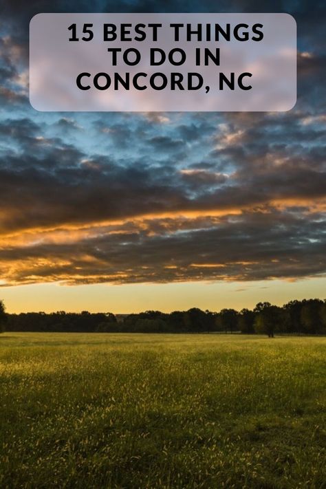 Discover the 15 best things to do in Concord, NC. Including Concord Mills Mall, Mustang Owner's Museum, Charlotte Motor Speedway and many more. Charlotte Motor Speedway, Concord North Carolina, Vintage Mustang, North Carolina Travel, Rocky River, Nascar Cup Series, Motor Speedway, Shop Plans, Nascar Racing