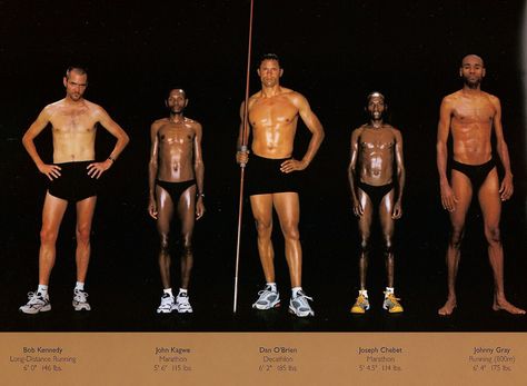 Body types of Olympic athletes Men Standing, Long Distance Runner, Distance Runner, Anatomy Poses, Athletic Body, Michael Phelps, Olympic Athletes, Different Sports, Body Reference