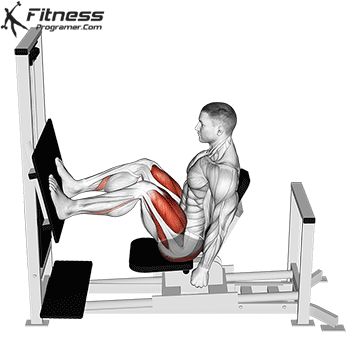 Workout Plan Builder Leg Press Exercises, Quadriceps Exercises, Leg Workout Exercises, Beginners Gym Workout Plan, Leg Press Workout, Strength Training Anatomy, Muscle Booster, Tuesday Workout, Chest Workout Routine