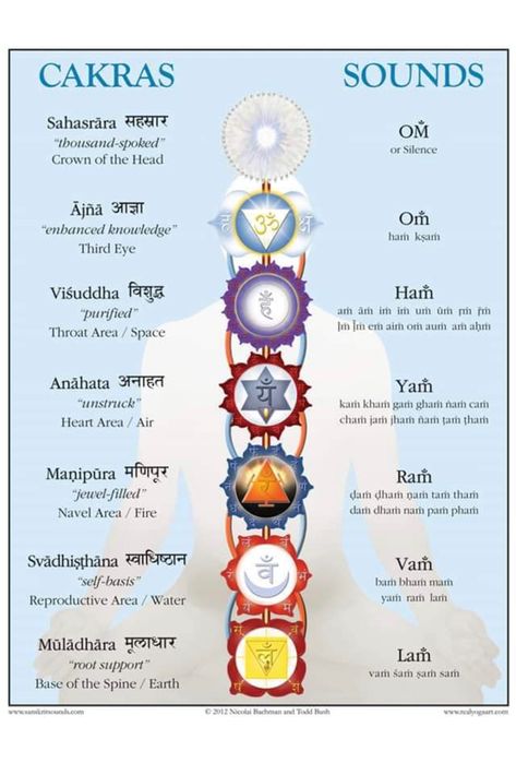 Chakras Poster, Chakra Meditation Guided, Chakra For Beginners, Chakra Poster, Chakra Balancing Meditation, Sacral Chakra Healing, Chakra Chart, Kundalini Meditation, Chakra Healing Meditation