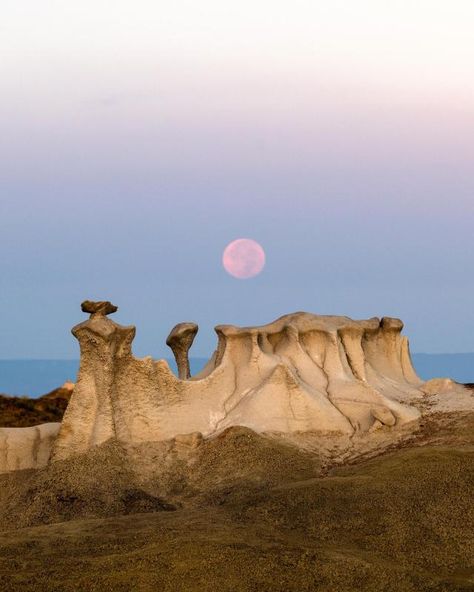 New Mexico Nature, Mexico Landscape Photography, Badlands Photography, New Mexico Pictures, Sublime Photography, New Mexico Photography, Animals In Nature, New Mexico Landscape, Mexico Desert