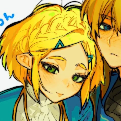 Zelda Link Matching Icons, Link And Zelda Matching Pfps, Link And Zelda Pfp, Zelink Matching Icons, Link Pfp Zelda, Link Matching Pfp, Zelda And Link Matching Pfp, Zelda Matching Pfp, Summer Matching Pfp