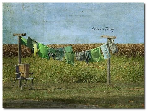 Laundry Painting, Green Washing, Washing Lines, Laundry Lines, Clothes Lines, Clothes Green, Laundry Art, Hanging Laundry, Green Laundry