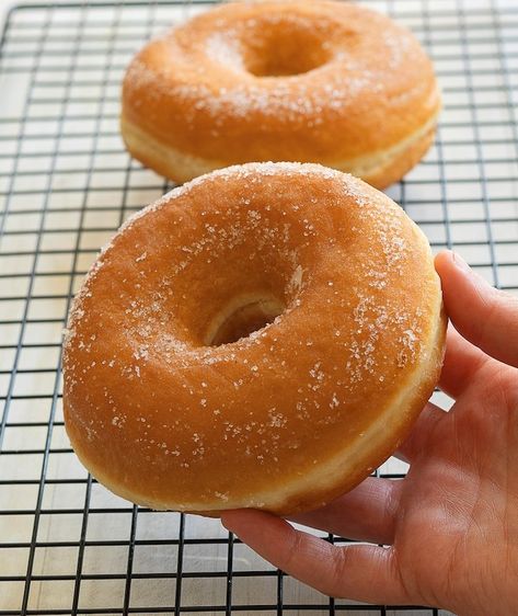 Italian Donuts - The Best Homemade Donuts Recipe Best Glazed Doughnut Recipe, Copycat Shipleys Donut, Donuts Using Cake Mix Recipe, How To Fry Donuts At Home, Oven Baked Yeast Donuts Recipes, Softest Donut Recipe, Italian Donuts Bomboloni, Yeast Donuts Fried, German Donuts Recipe