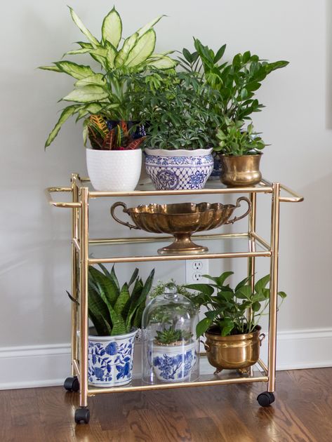 Hey everyone! Today we are talking about bar carts and 5 unique ways to use them that doesn't involve liquor! Unique Bar Cart, Round Bar Cart, Bedroom Ceiling Lights, Coffee Bar Cart, Room Designer, Gold Bar Cart, Bar Cart Styling, Tea Cart, Cart Decor