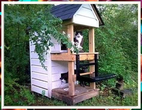 Get the best cat house for your pet from Amazon's extensive range of pet products. Outside Cat Enclosure, Outside Cat House, Cat House Plans, Outdoor Cat Shelter, Cat Playground Outdoor, Feral Cat Shelter, Feral Cat House, Cat Patio, Cat Hotel