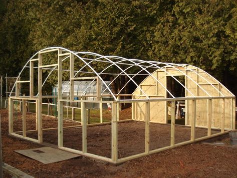 Pvc Pipe Greenhouse, Polytunnel Ideas, Pvc Greenhouse Plans, Make A Greenhouse, Pvc Greenhouse, Greenhouse Construction, Enclosed Garden, Aquaponics Greenhouse, Greenhouse Design