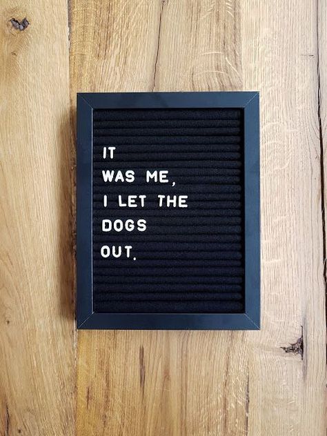 Letterboard Signs, Board Sayings, Message Board Quotes, Felt Letter Board, Word Board, Magnet Board, Letter Boards, Funny Letters, Board Quotes