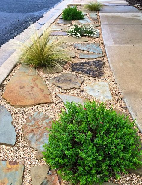 Hellstrip Landscaping, Sidewalk Landscaping, Xeriscape Front Yard, Front Yards Curb Appeal, Side Walk, Front Yard Design, Front Landscaping, Rock Garden Landscaping, Stone Path