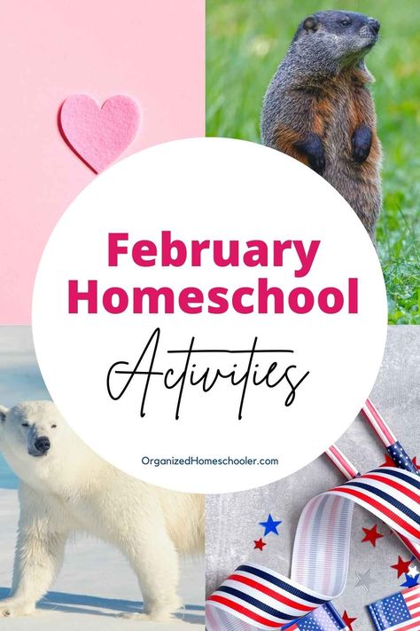 These educational activities are sure to bring joy to your homeschool in February. Use fun holidays to teach a variety of subjects. Topics include Valentine's Day, Groundhog Day, Fairy Tale Day, and so much more! February Homeschool Themes, Valentines Day Homeschool Activities, Valentine’s Day Homeschool, Homeschool Valentines, February Homeschool, Fairy Tale Day, Valentine’s Day Read Aloud, Silly Holidays, African American Inventors