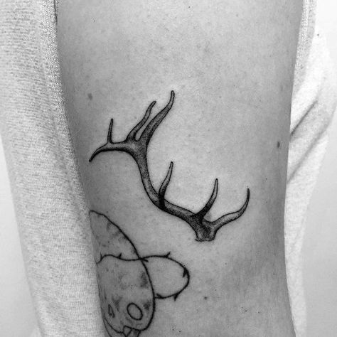 90 Elk Tattoo Ideas For Men - Cervidae Animal Designs Elk Shed Tattoo, Small Elk Tattoo, Bull Elk Tattoo, Elk Tattoo Men, Elk Antler Tattoo, Deer Antler Tattoos, Nature Sleeve, Elk Tattoo, Antler Tattoo