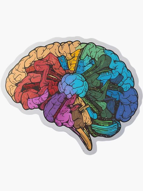 "Colorful Human Brain Anatomy Sticker, Educational Neurology Decal, Neurodivergent, Artistic Mind Illustration, Vibrant Brain Art" Sticker for Sale by WatermelonPink | Redbubble Brain Cross Section, Mind Art Brain Illustrations, Mind Illustration, Human Brain Anatomy, Neurology Art, Brain Graphic, Brain Illustration, Brain Anatomy, Brain Art