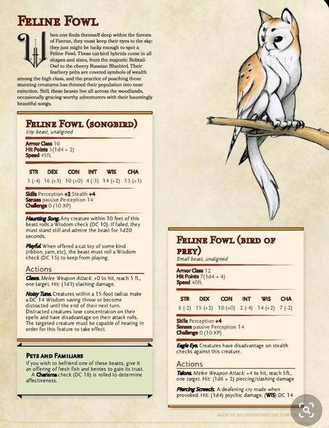 Custom Dnd Creatures, Dnd Beast Companion, Flying Mounts Dnd, Familiar Ideas Dnd, Dungeons And Dragons Animals, Dnd Animals 5e, Dnd Homebrew Animals, Homebrew Creatures 5e, Cool Dnd Monsters