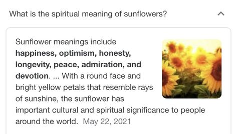 Sunflower Meaning Spiritual, Sunflower Symbolism, Sunflower Meaning, Sunflower Facts, Meaning Of Sunflower, Spiritual Nature, Wedding Colour, Witch Craft, Flower Meanings