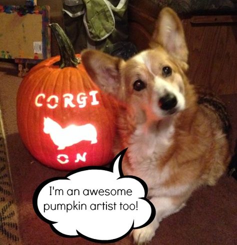 Corgi Comics: October Roundup and Outtakes | Babble Autumn Dogs, Corgi Halloween, Mini Corgi, Crazy Corgi, Dog Farm, Corgi Dogs, Corgi Puppies, Corgi Pictures, Dog Suit