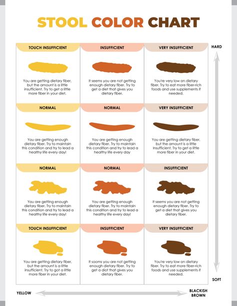 Download our Bristol Stool Chart to easily categorize stool types and understand digestive health.


Designed by @wordlayouts Stool Color Chart, Bristol Stool, Bristol Stool Chart, Stool Chart, Printable Chart, Budgeting Worksheets, Fiber Rich, Dietary Fiber, Digestive Health