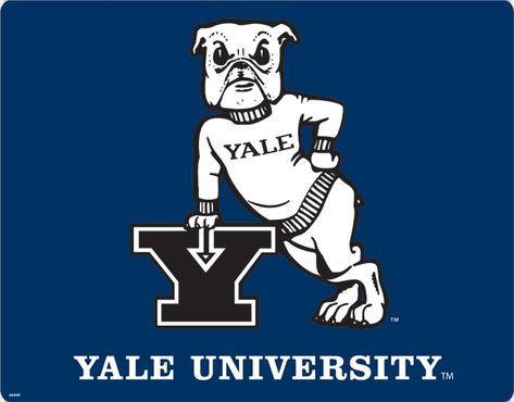 Yale!!!!! Bulldog Images, Yale Bulldogs, Dream College, College Logo, Yale University, Room Posters, Image Search, Bulldog, University