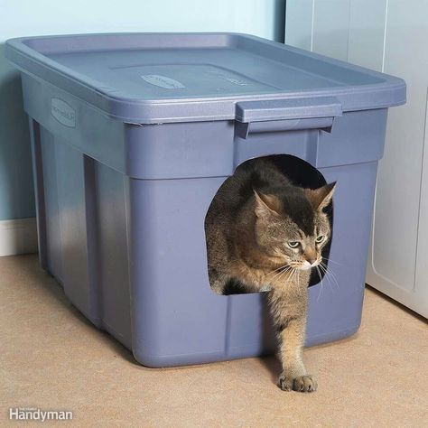 Diy Litter Box, Katt Diy, Chat Diy, Pet Smell, Kitty Litter, Pet Stains, Cat Box, Family Handyman, Cat Training