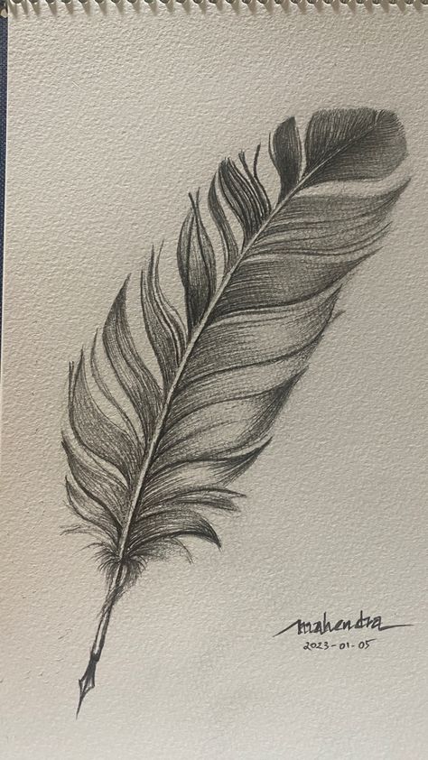 Feather Drawing Biro, Realistic Feather Drawing, Bird Feather Painting, Drawing A Feather, Feather Sketch Pencil, Duck Feather Drawing, Sketching Ideas Pencil Nature, Feather Texture Drawing, Bird Feathers Drawing