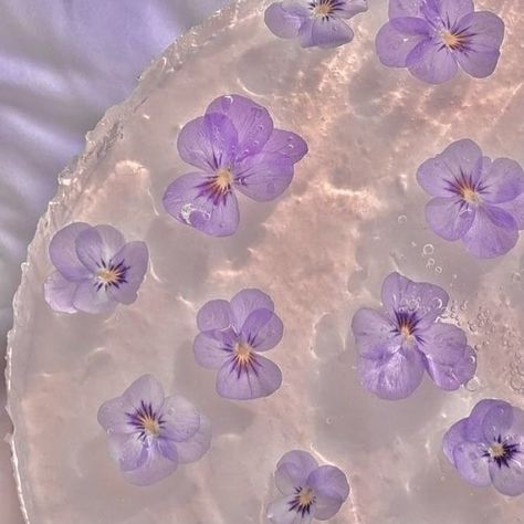 lavender aesthetic icon jelly cake violets Drarry Headcanons, Of Aesthetic, Purple Flowers, Lavender, Ipad, Iphone, Purple, Water, Flowers