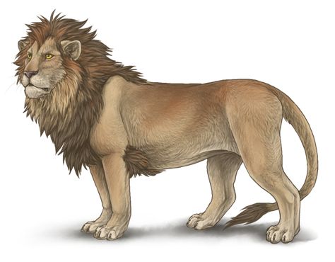 Rare Eyes, Lion Drawing, Male Lion, Big Cats Art, Lion Pictures, Cats Artists, Red Deer, Lion Art, Prehistoric Creatures