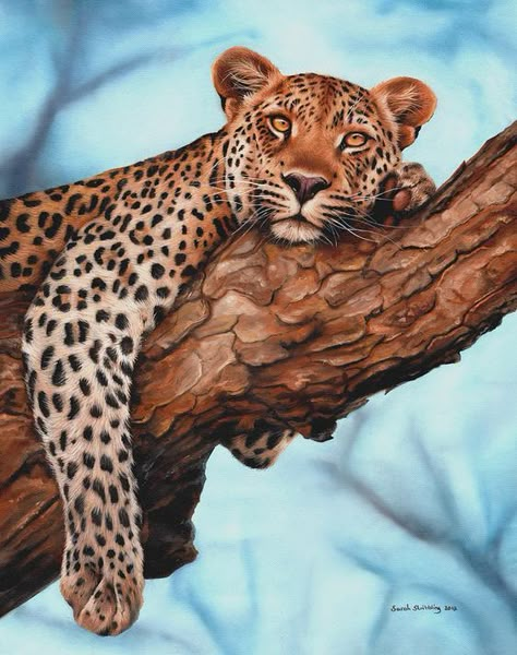 Leopard Artwork, Cheetah Drawing, Leopard Drawing, Big Cats Photography, Leopard Tattoos, Leopard Painting, Bob Ross Paintings, Leopard Art, Creation Photo