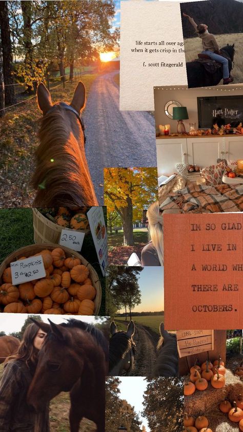 equestrian fall inspo Equestrian Fall Aesthetic, Western Equestrian Aesthetic, Autumn Equestrian Aesthetic, Autumn Horse Aesthetic, Halloween Horse Wallpaper, Fall Horse Wallpaper, Equestrian Life Aesthetic, Equestrian Aesthetic Wallpaper, Autumn Horse