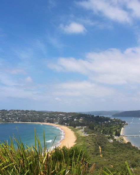 𝔻𝕠𝕟𝕚𝕜𝕒 on Instagram: “Palm Beach #palmbeach #palmbeachnsw #studyabroad #sydney #gostralia #australia” Palm Beach Nsw, Study Abroad, Palm Beach, Sydney, Instagram Profile, Australia, Water, On Instagram, Instagram