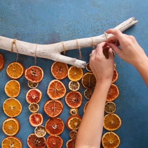 Diy Christmas Hostess Gifts, Dried Orange Decorations, Citrus Ornaments, Make Dried Orange Slices, Orange Potpourri, Orange Decorations, Orange Christmas Tree, Winter Farmhouse Decor, Ornaments Wreath