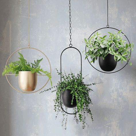 Succulent hanging planter