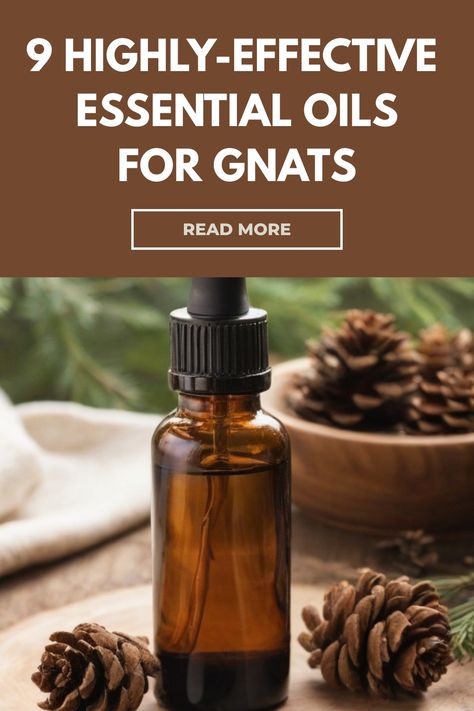 Discover the power of essential oils for gnats with these natural repellent recipes. Say goodbye to those pesky bugs and fruit flies by creating your own DIY gnat spray using lavender, eucalyptus, geranium, or other essential oils that repel gnats effectively. Control gnats in your home and outdoor spaces by trying out different bug spray recipes or homemade traps. Keep your plants safe from fungus gnats with an easy-to-make natural gnat repellent. Diy Gnat Spray, Natural Fly Repellent Outdoors, Gnat Repellant, Fruit Fly Spray, How To Kill Gnats, Gnat Spray, Natural Fly Repellant, Using Lavender, How To Get Rid Of Gnats