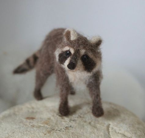 Felted Raccoon, American Red Squirrel, Felting Animals, Felting Diy, Baby Swan, Needle Felting Diy, Wool Animals, Felt Bunny, Felt Mouse