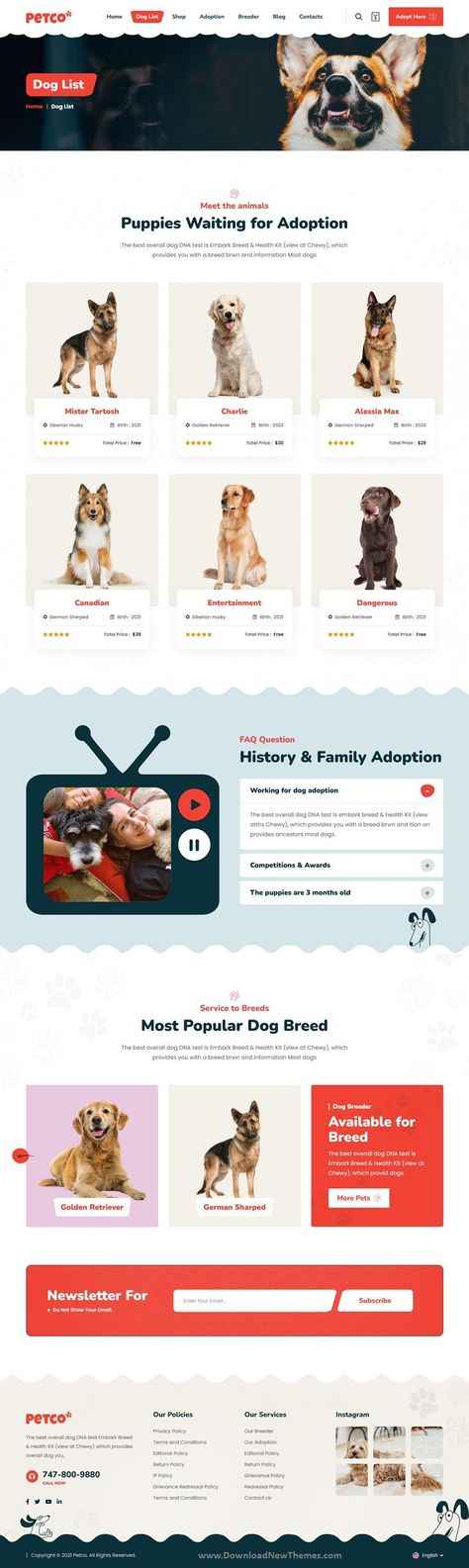 Petco - Pet Breeder & Adoption HTML5 Template is a clean, elegant and modern design responsive premium bootstrap template for pet breeder, animal adoption, pet care, pet food shop, kennel club, pet grooming center, veterinary or any animal related service and business professional website with 2 niche homepage layouts, 10+ pre-designed inner pages and tons of amazing features. It is build with HTML, CSS and latest bootstrap framework to download now & live preview click on image 👆 Animal Shelter Website Design, Animal Adoption Website Design, Pet Adoption Website Design, Pet Website Design, Adoption Website, Pet Websites, Webpage Design Layout, Pet Food Shop, Dog Dna Test