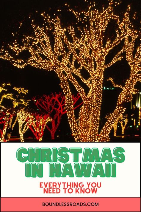 Pinterest image saying "Christmas in Hawaii". Christmas In Hawaii Aesthetic, Christmas In Hawaii, Hawaii In December, Honolulu City, Hawaii Christmas, Christmas Things To Do, Hawaii Holiday, Christmas Destinations, Hawaiian Christmas