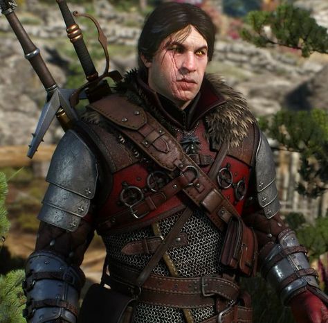 Eskel Witcher, Witcher Armor, Witcher Characters, Vernon Roche, The Witcher Art, Witcher Oc, The White Knight, Witcher Books, The Green Knight